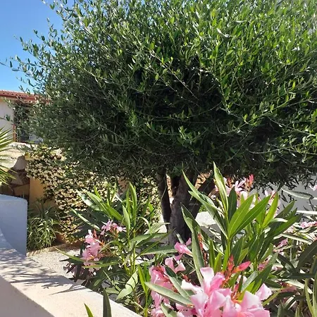 Residenza Efisio Apartment