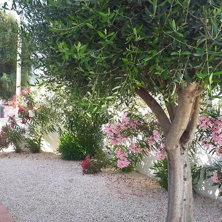 Residenza Efisio * Torpè